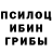 Галлюциногенные грибы мухоморы rockblondy