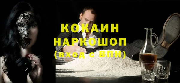 Альфа ПВП Инсар