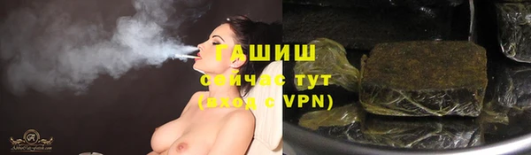 Альфа ПВП Инсар