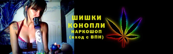 Альфа ПВП Инсар