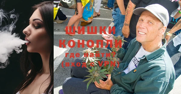 Альфа ПВП Инсар