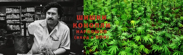 Альфа ПВП Инсар