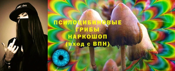 Альфа ПВП Инсар