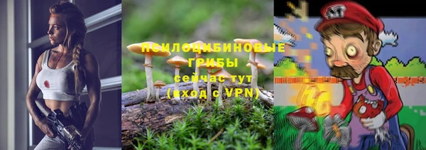 Альфа ПВП Инсар