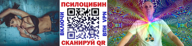 Купить где  Дно  Галлюциногенные грибы мицелий 